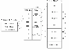 FAT16 diagram showing relationships between FAT and clusters.