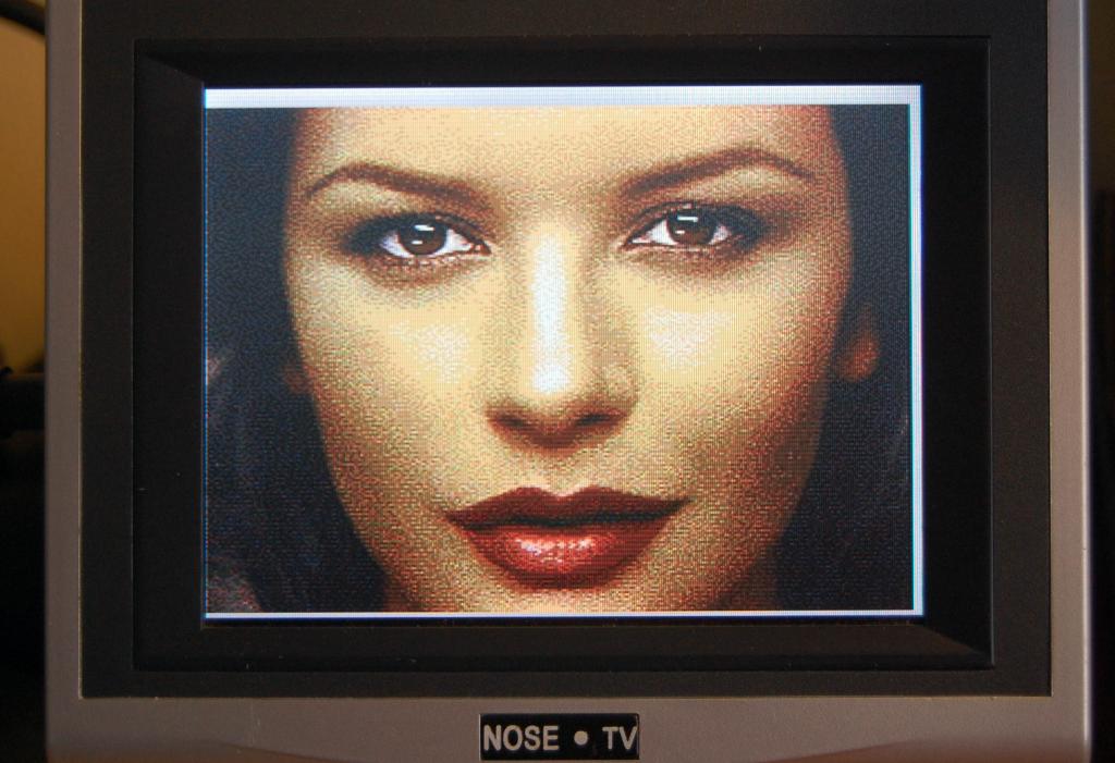 The C3 Synapse Test Picture of Catherine Zeta Jones on a 256x224 screen resolution.